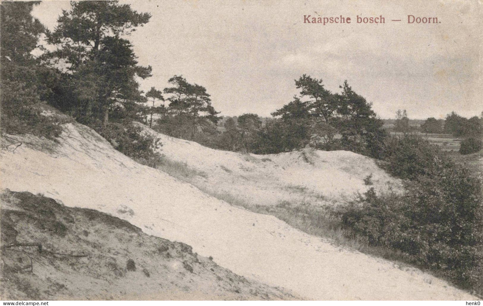 Doorn Kaapsche Bosch K5799 - Doorn