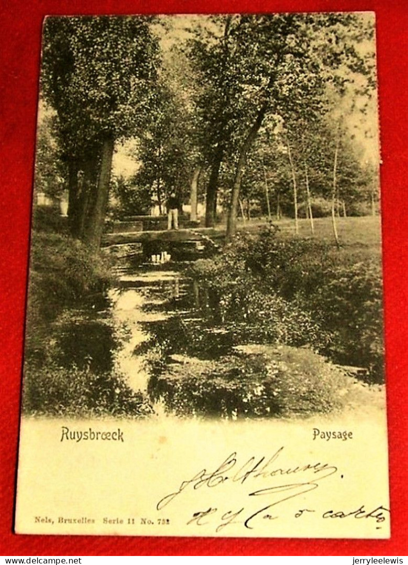 RUISBROEK - SINT-PIETERS-LEEUW  -  Paysage  -   1906  - - Sint-Pieters-Leeuw