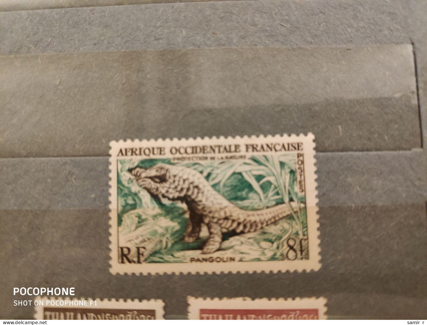 Africa France	Animals (F22) - Collections