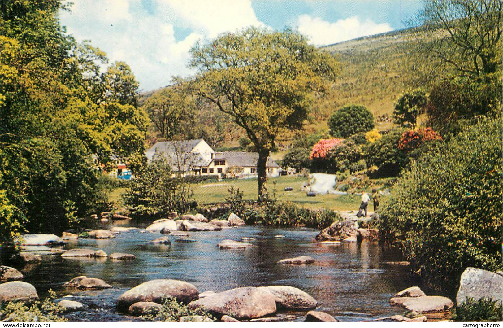 England Dartmeet, Dartmoor, Badgers Holt Picturesque Natural Landscape - Dartmoor