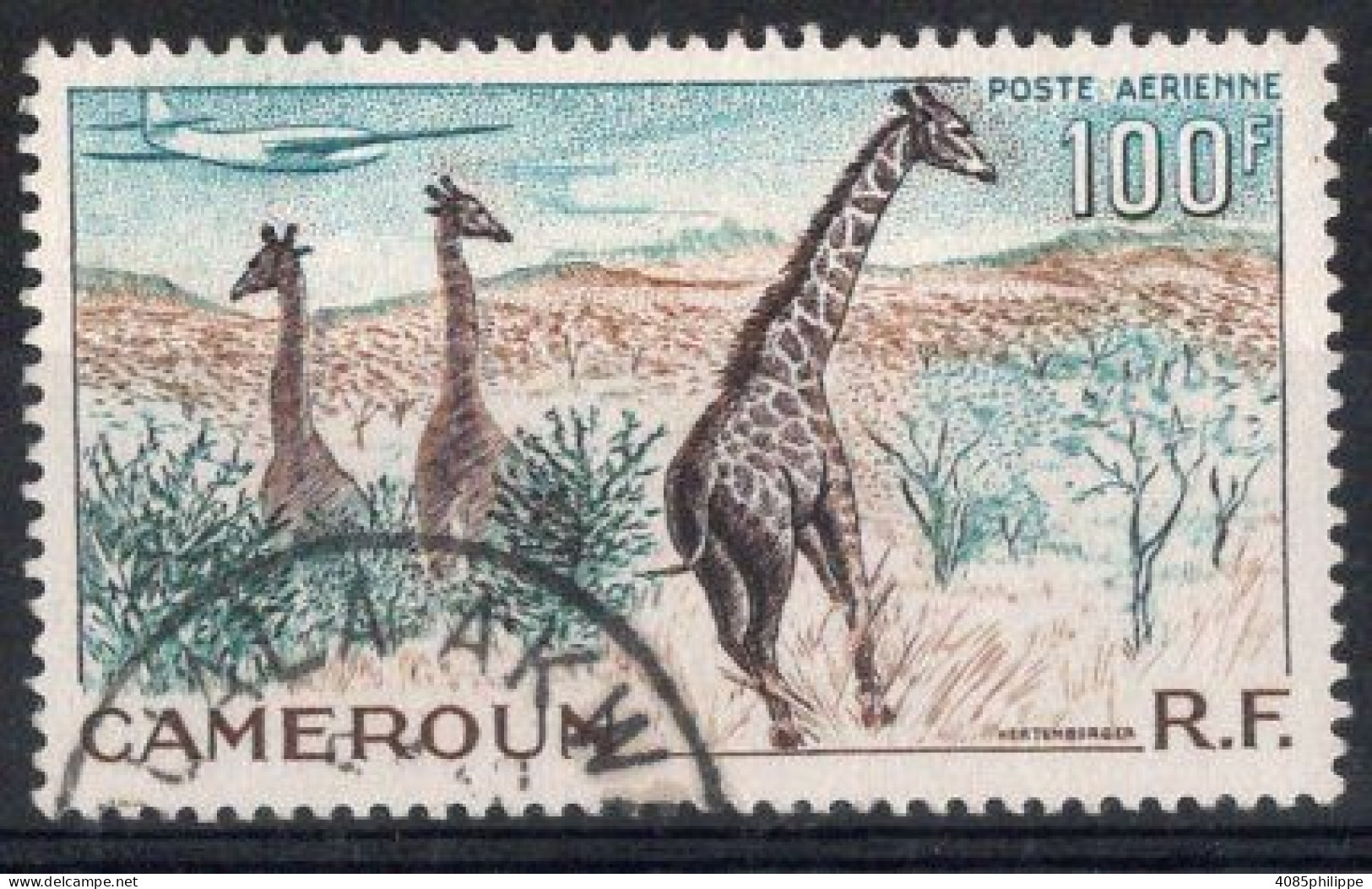 CAMEROUN  Timbre-Poste Aérienne N°47 Oblitéré TB Cote 3.00 € - Airmail