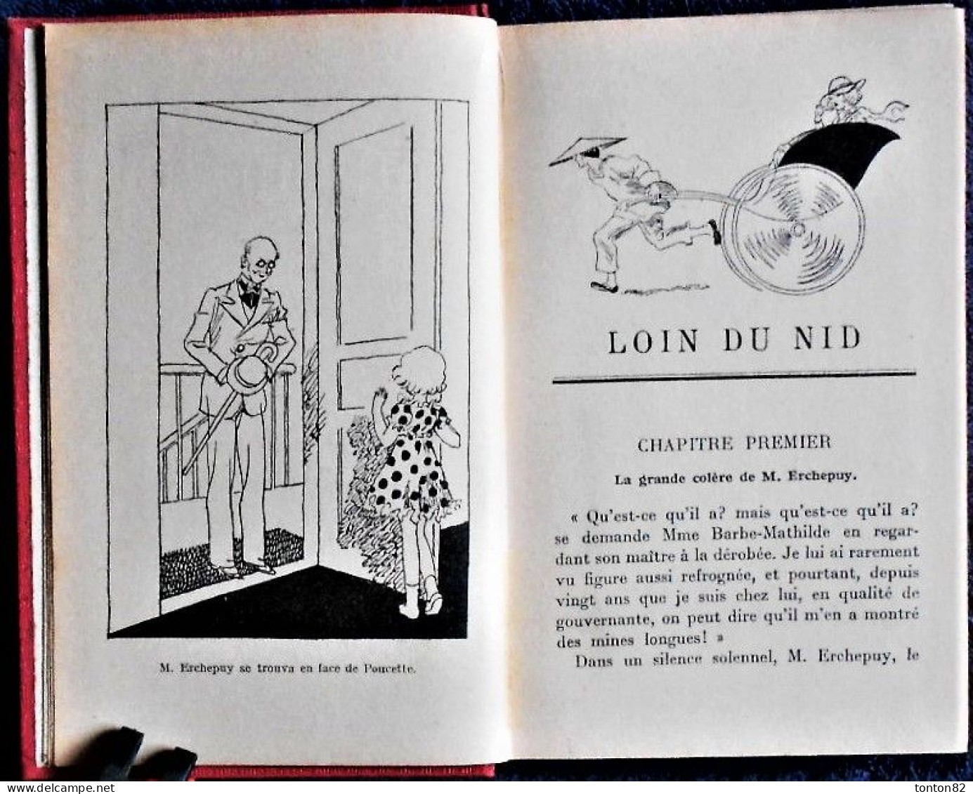 M.M. D'Armagnac - Loin Du Nid - Bibliothèque Rose Illustrée - ( 1933 ) . - Bibliotheque Rose