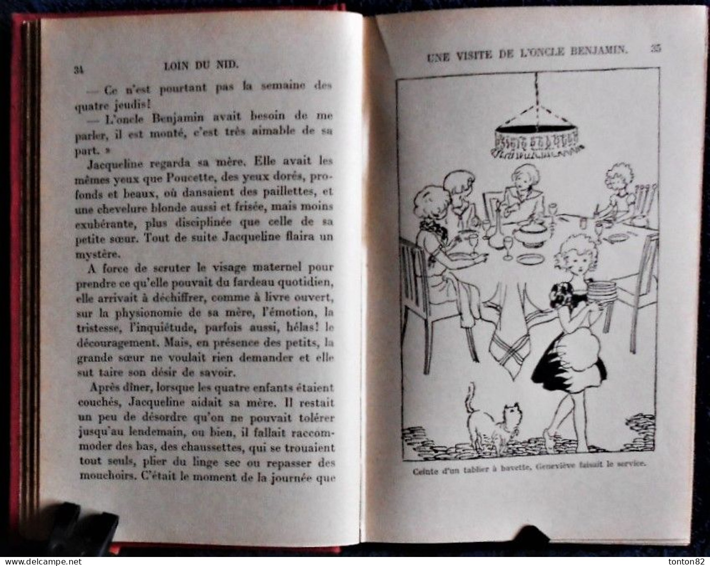 M.M. D'Armagnac - Loin du nid - Bibliothèque Rose Illustrée - ( 1933 ) .