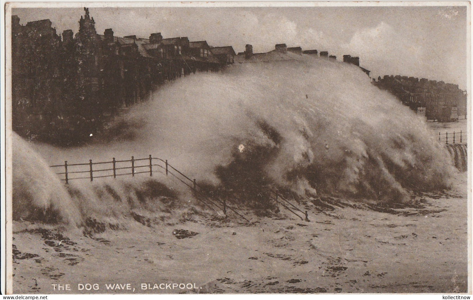 THE DOG WAVE - BLACKPOOL - Blackpool