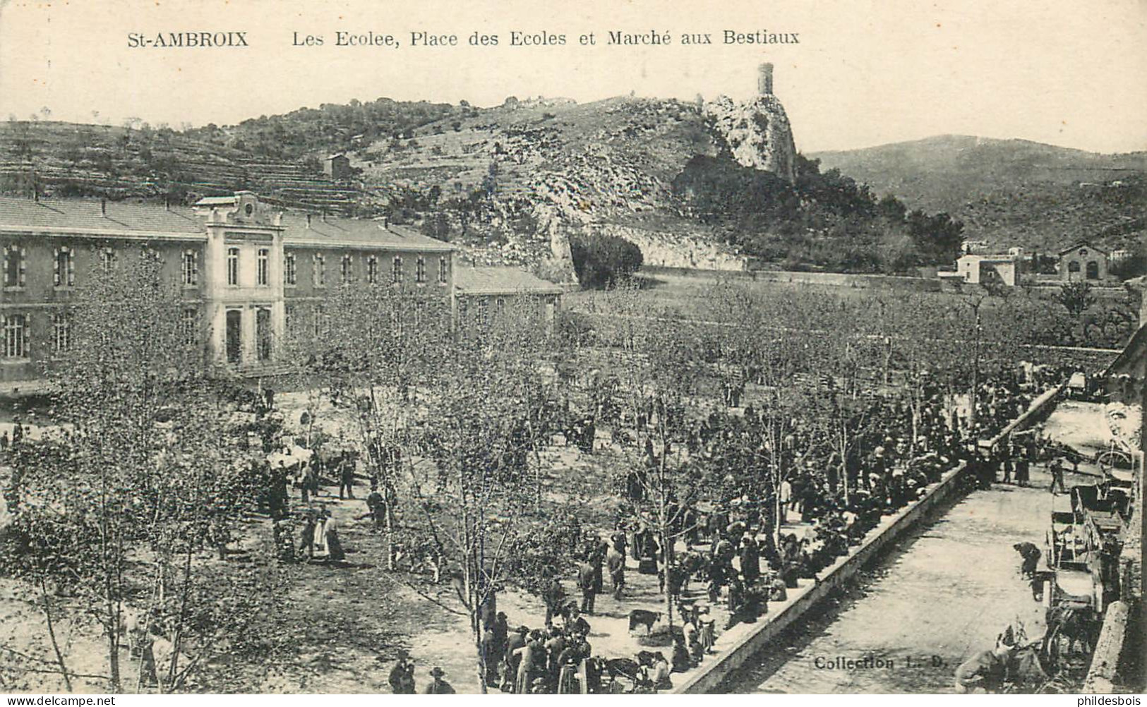 GARD  SAINT AMBROIX  Les écoles Et Marché Aux Bestiaux - Saint-Ambroix