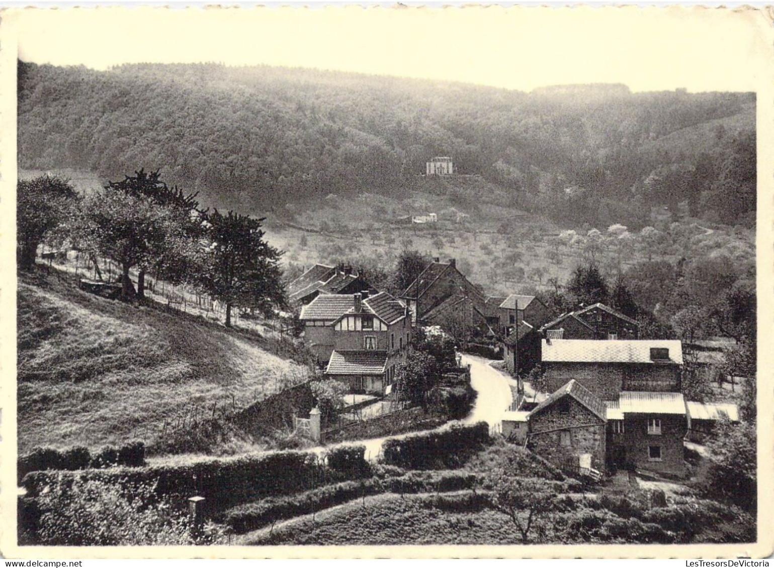 BELGIQUE - Nessonvaux-Fraipont - Horne De Colonheid - Carte Postale Ancienne - Trooz