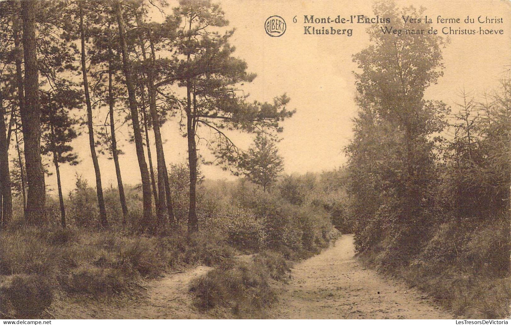 BELGIQUE - Mont-de-l'Enclus - Vers La Ferme Du Christ - Carte Postale Ancienne - Mont-de-l'Enclus