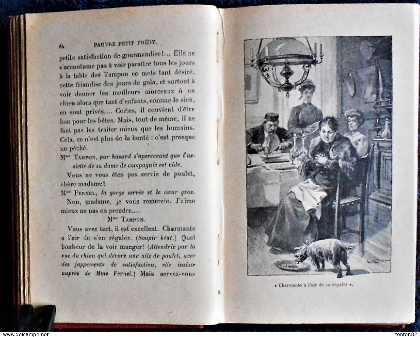 Mme Charlotte Chabrier-Rieder - Pauvre petit Frédy ! - Bibliothèque Rose Illustrée - ( 1933 ) -