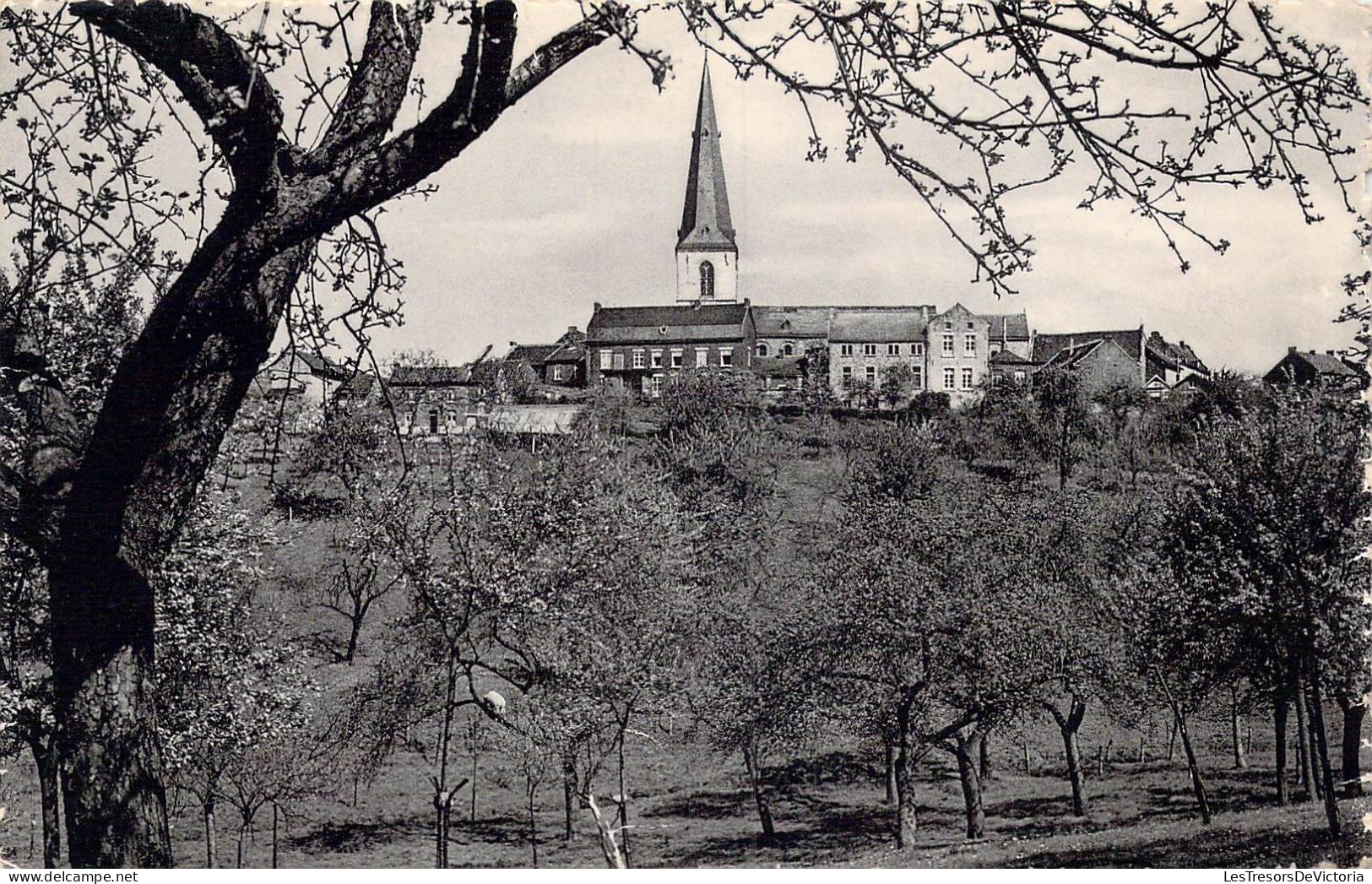 BELGIQUE - Looz - Panorama Vers L'Eglise Et Le Doyenné - Carte Postale Ancienne - Borgloon