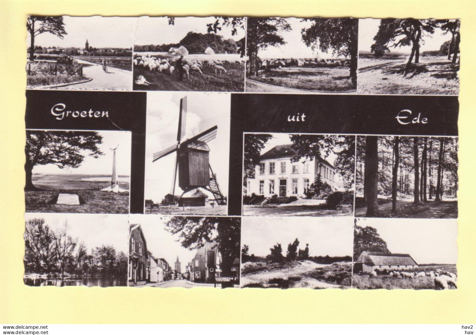 Ede 12-luik Met Molen RY20511 - Ede