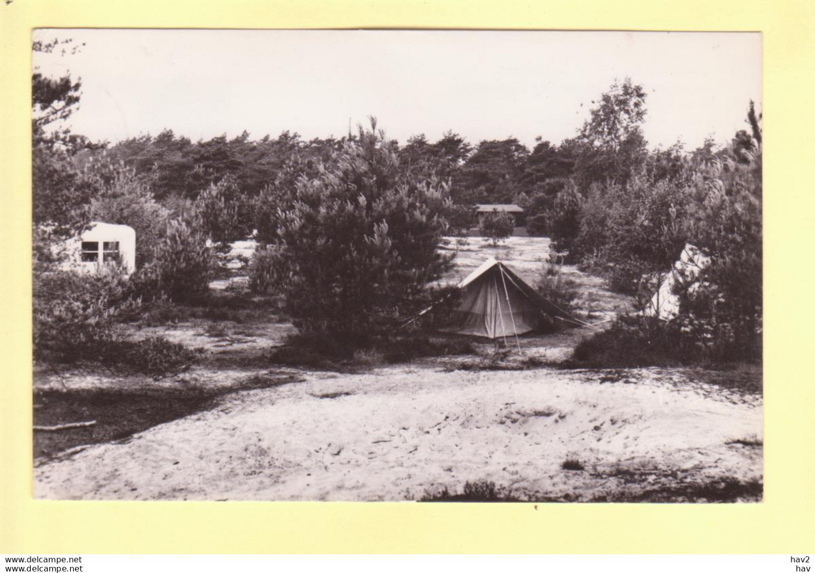 Driebergen Kamperen Op Het Grote Bos RY20504 - Driebergen – Rijsenburg