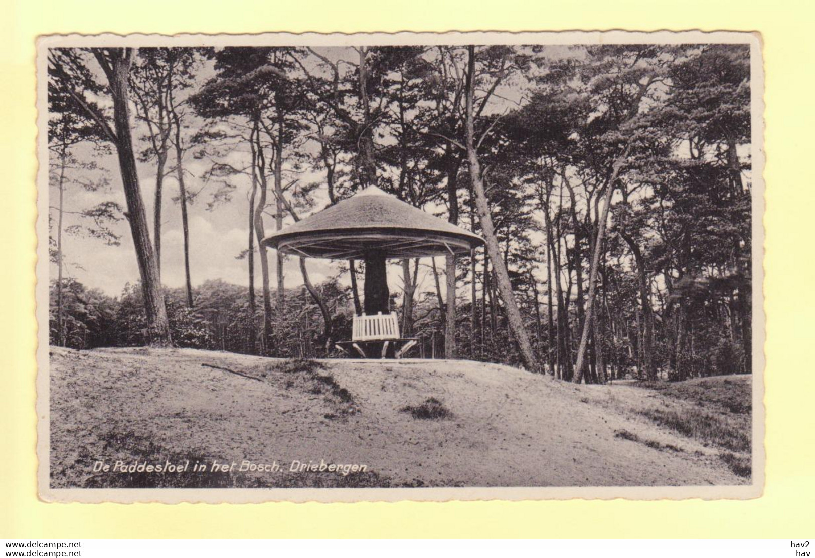 Driebergen De Paddestoel In Het Bosch 1936 RY21159 - Driebergen – Rijsenburg