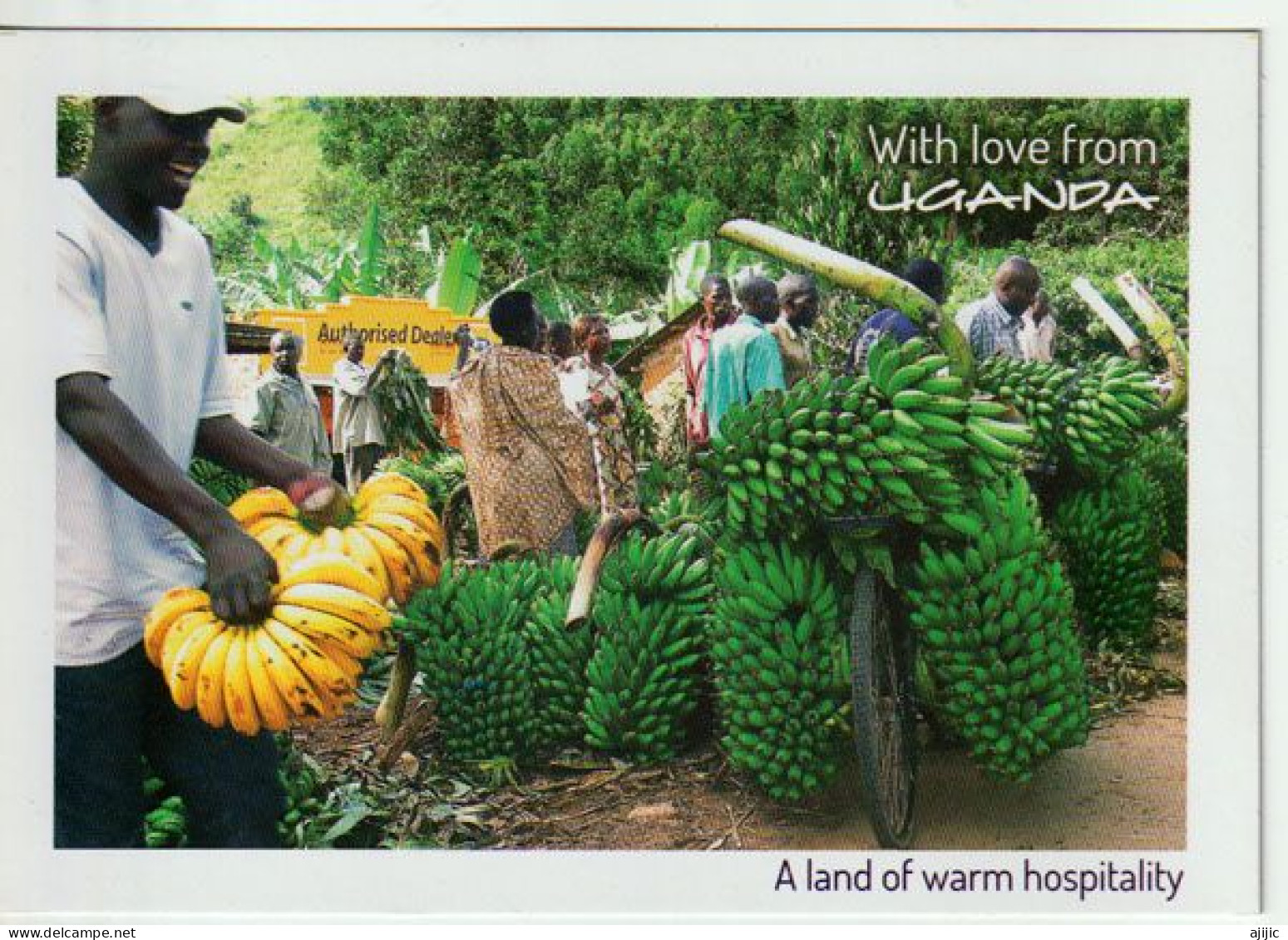 With Love From Uganda.Farming In Uganda,tropical Fruits. Postcard  Edition Wildlife Friends.  Unused - Uganda