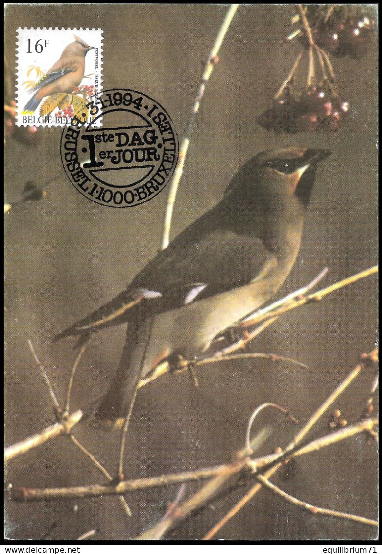 CM/MK° - 2534 - Jaseur Boréal / Pestvogel / Böhmischer Seidenschwanz - 03-01-1994 - Brussel / Bruxelles - BUZIN - 1991-2000