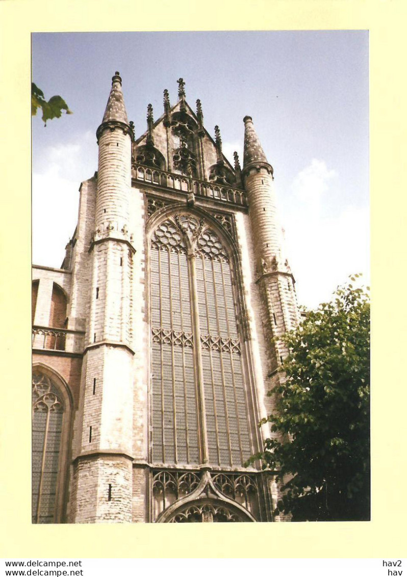 Leiden St. Pancras Kerk FOTO RY 5407 - Leiden