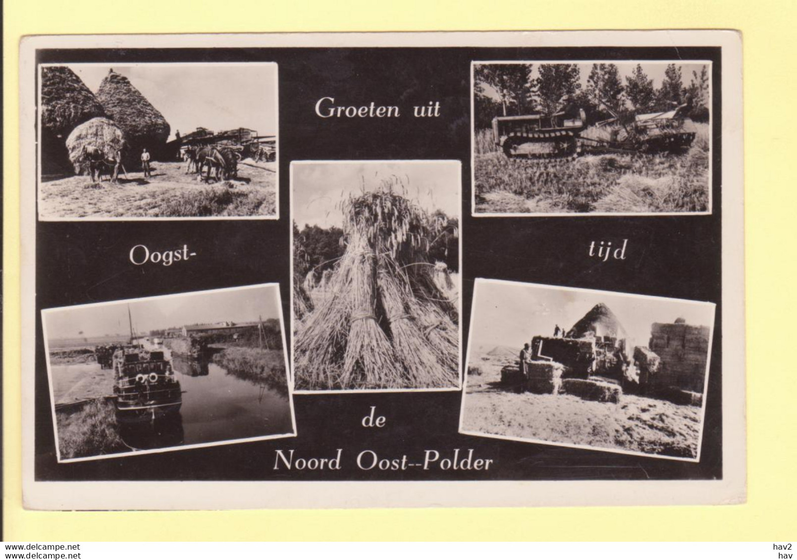 Noord-Oost Polder 5-luik Oogsttijd 1954 RY21546 - Other & Unclassified