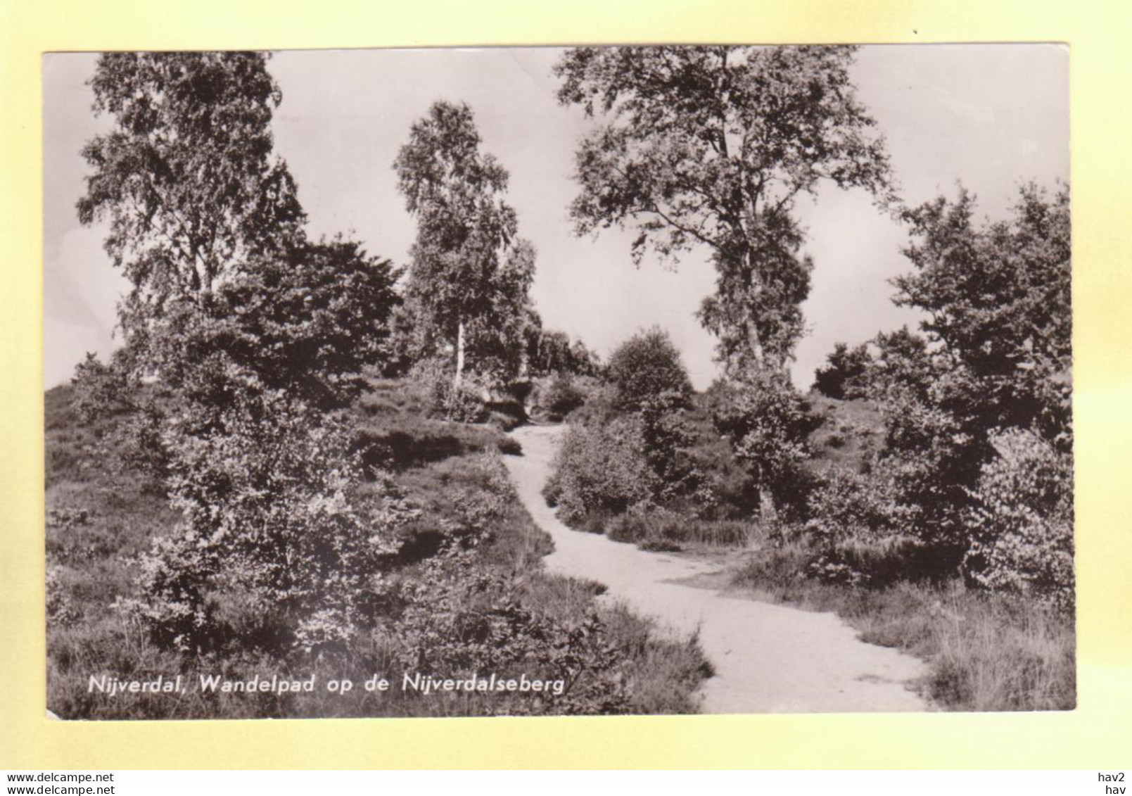 Nijverdal Nijverdalseberg Wandelpad RY19832 - Nijverdal