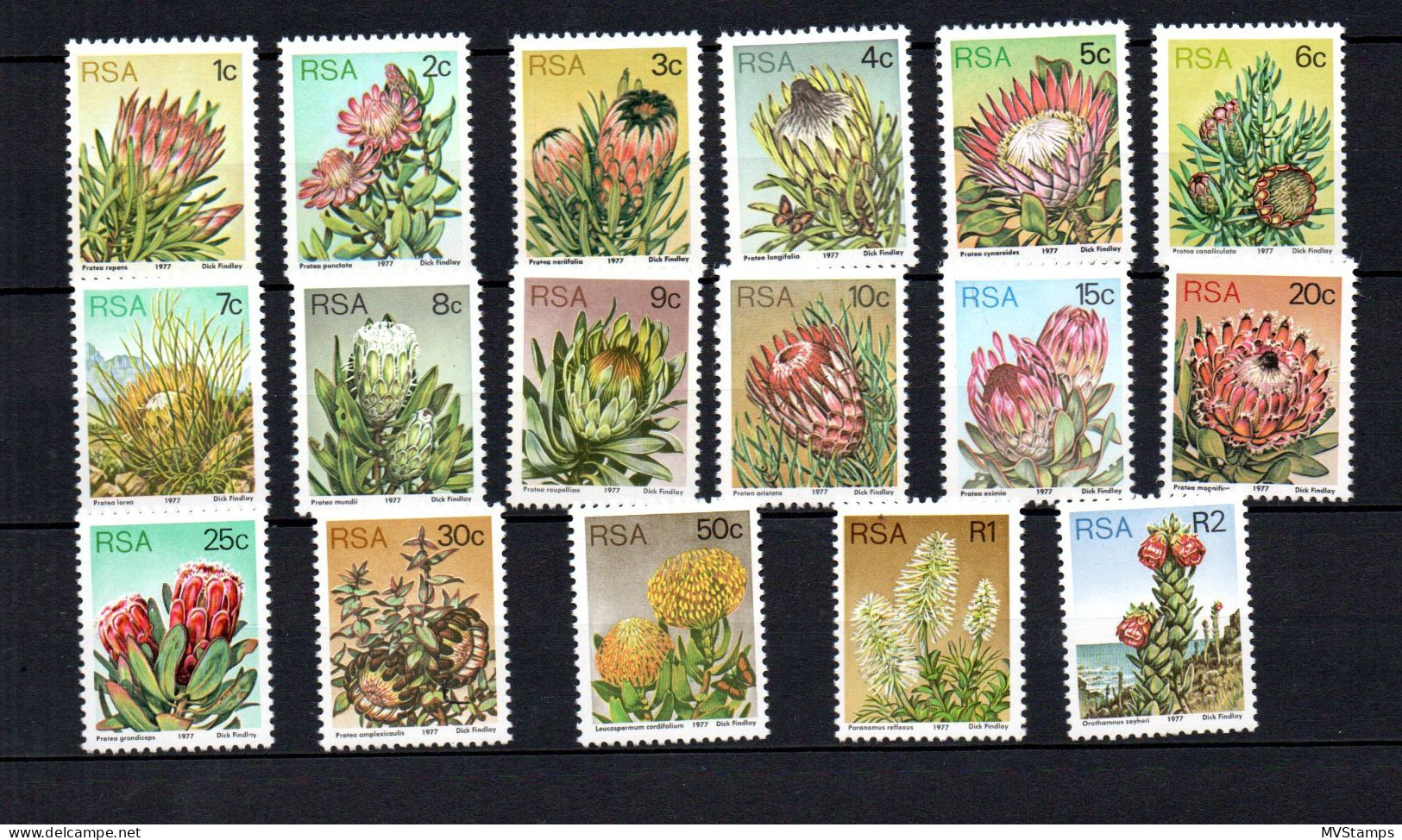 South Africa 1977 Set Flowers/Blumen Stamps ( Michel 512/28) MNH - Neufs