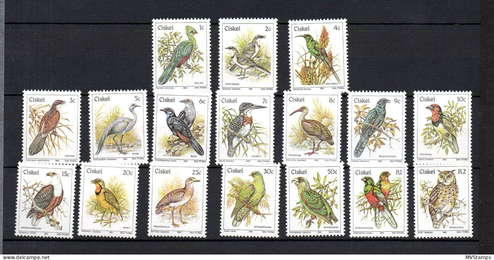 Ciskei 1981 Set Birds/Vogel Stamps ( Michel 5/21) MNH - Ciskei