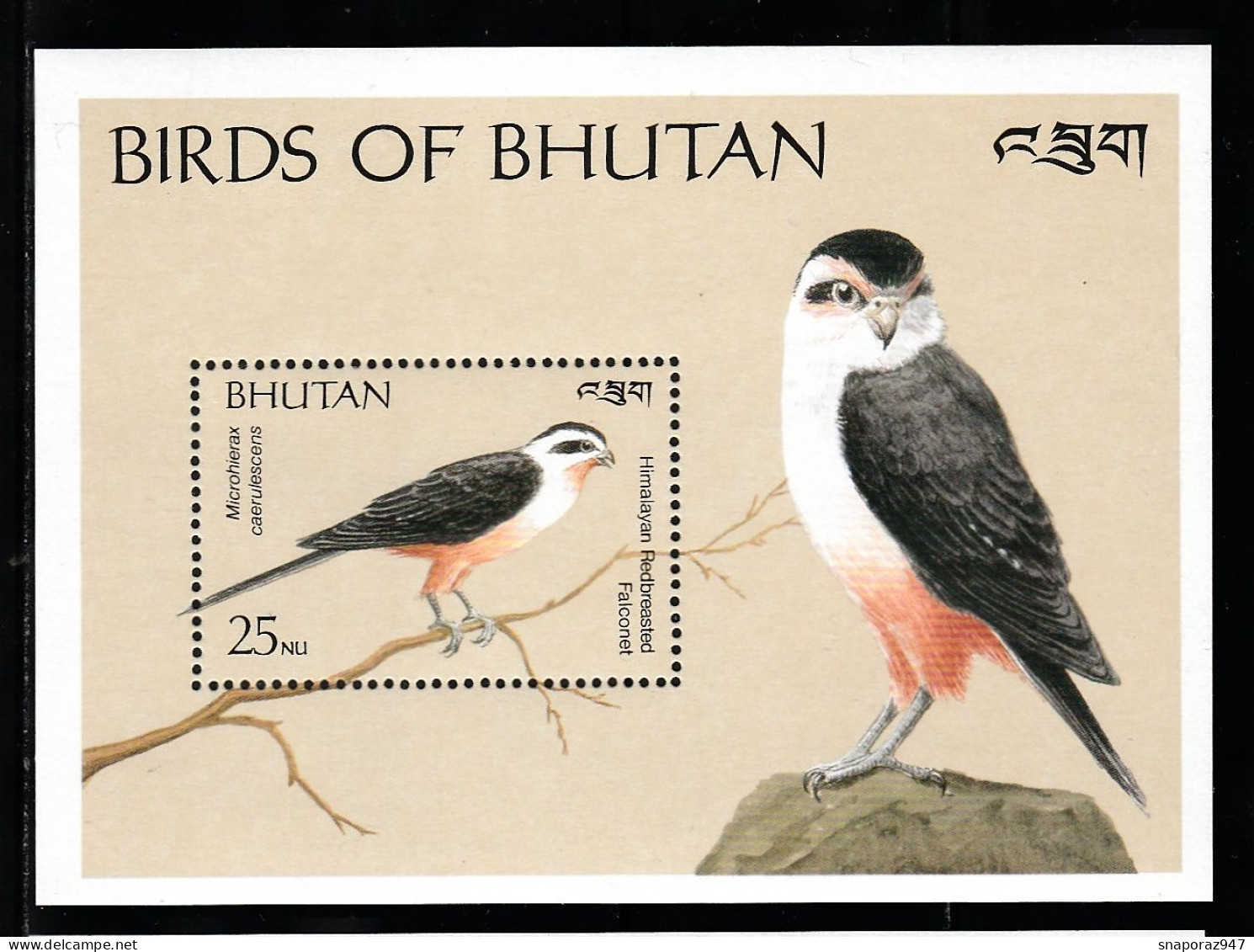 1990 Bhutan "Microhierax Caerulescens" Collared Falconet Birds Set MNH** 001-4 - Pics & Grimpeurs