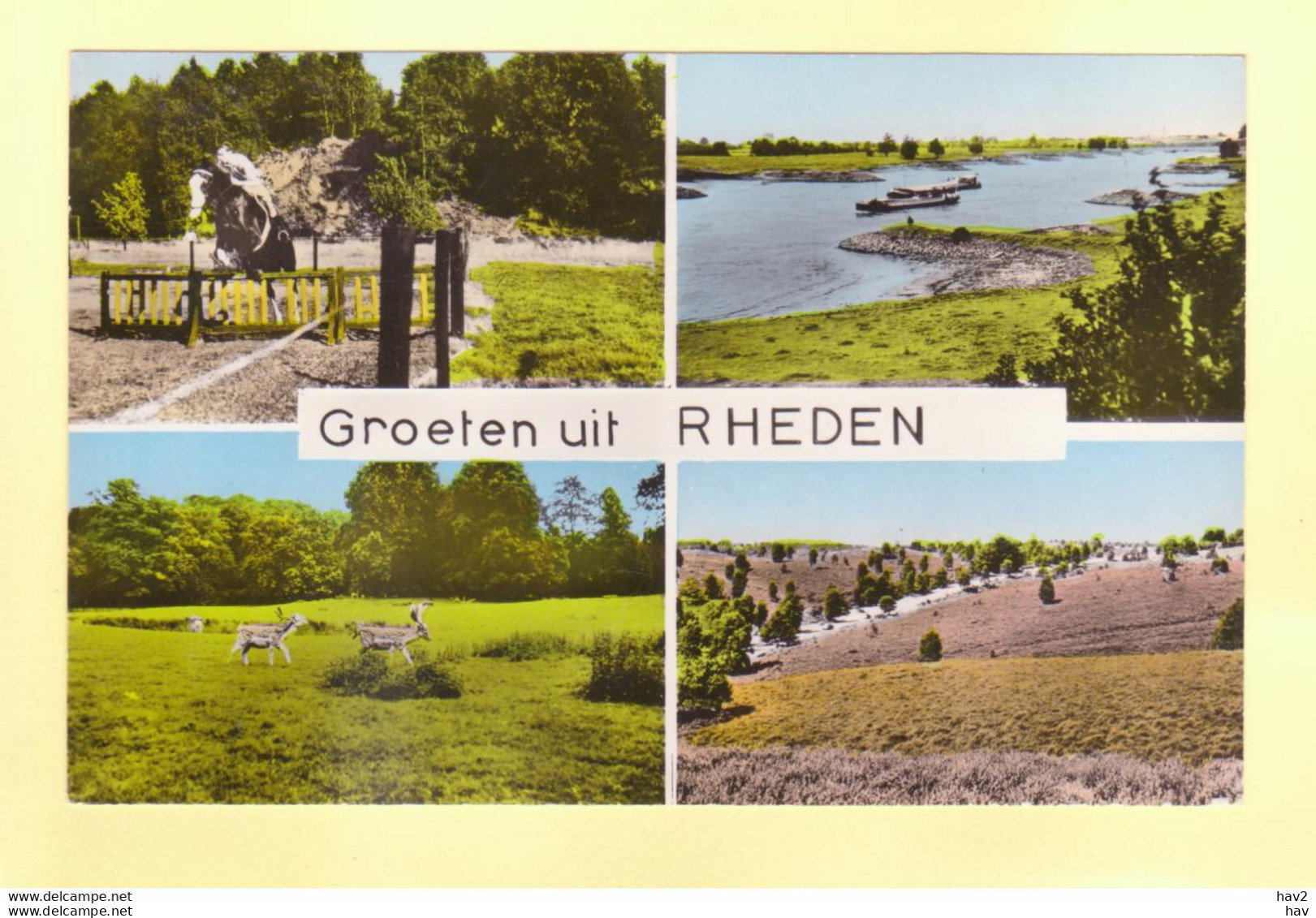 Rheden 4-luik  RY20720 - Rheden