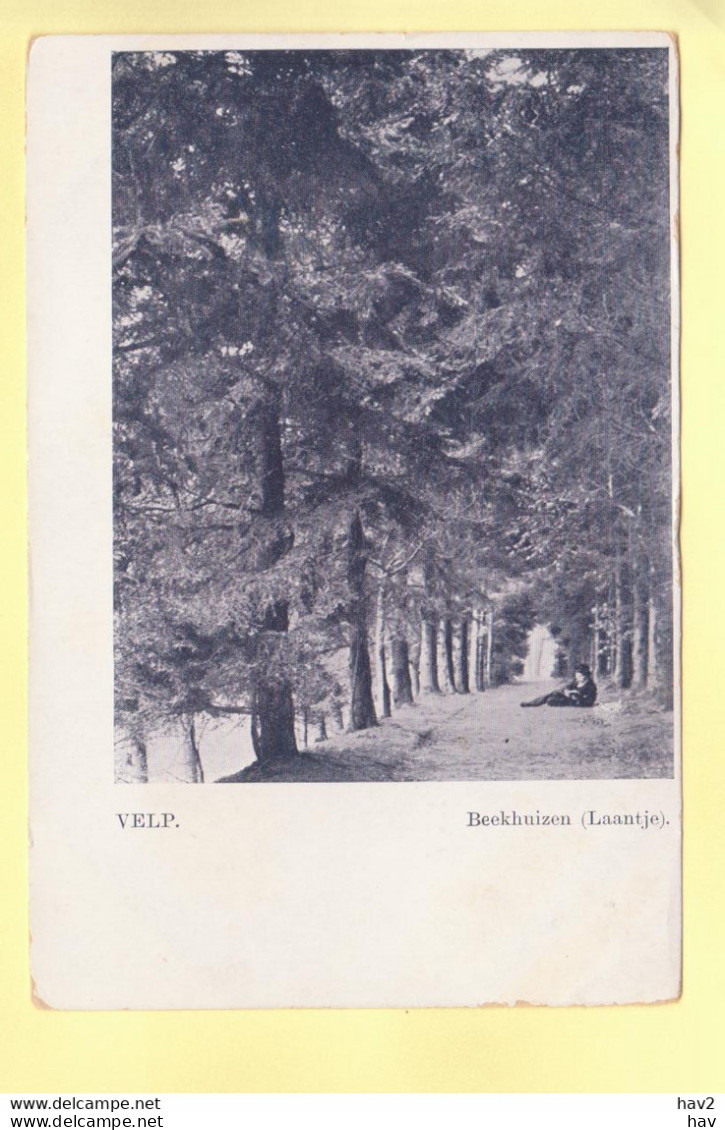 Velp Beekhuizen Laantje Vóór 1905 RY19368 - Velp / Rozendaal