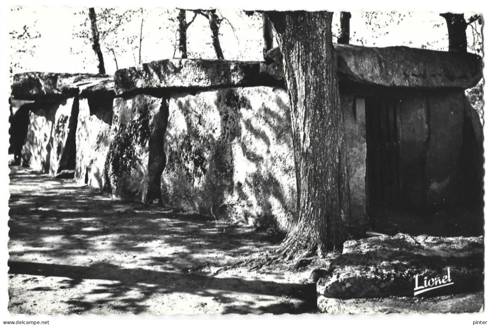 MENHIR - BAGNEUX - Le Dolmen - Dolmen & Menhire