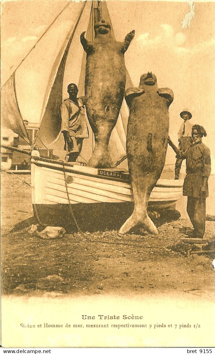 ADEN YEMEN ASIE UNE TRISTE SCENE SIRÈNES ET HOMMES DE MER MESURANT RESPECTIVEMENT 9 PIEDS ET 7 PIEDS 1/2 - Yemen