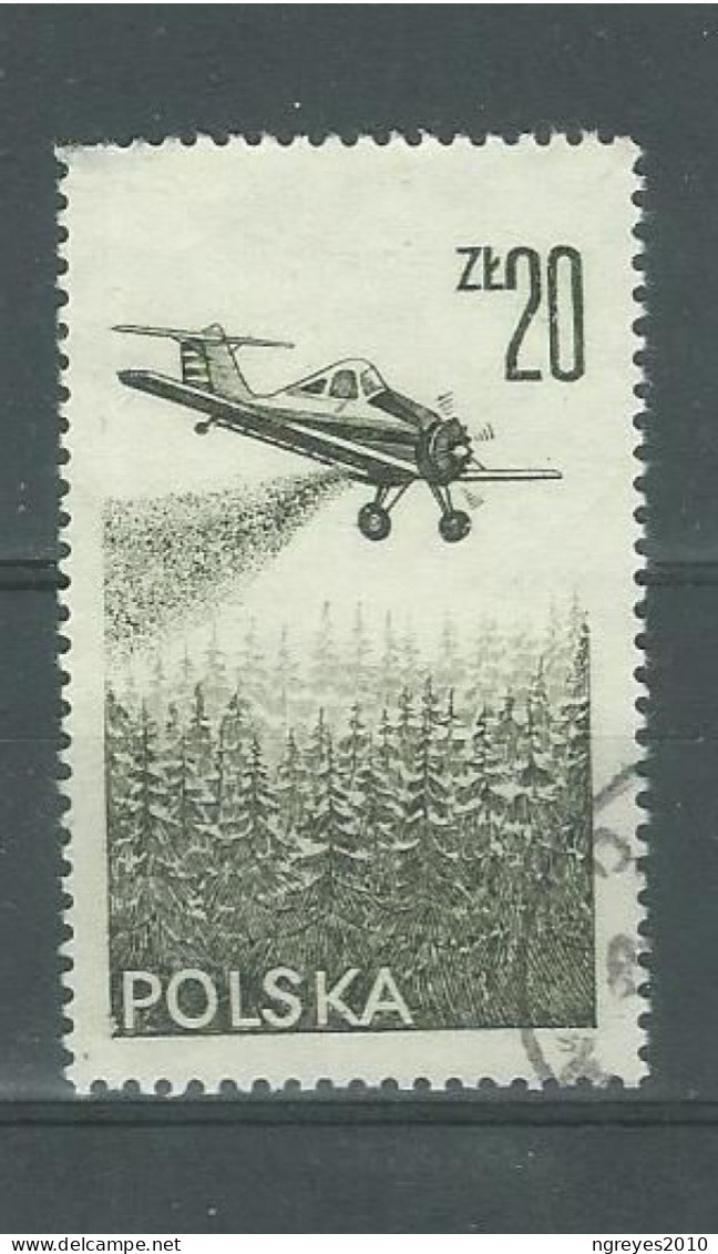 230044452  POLONIA  YVERT AEREO Nº57 - Usados