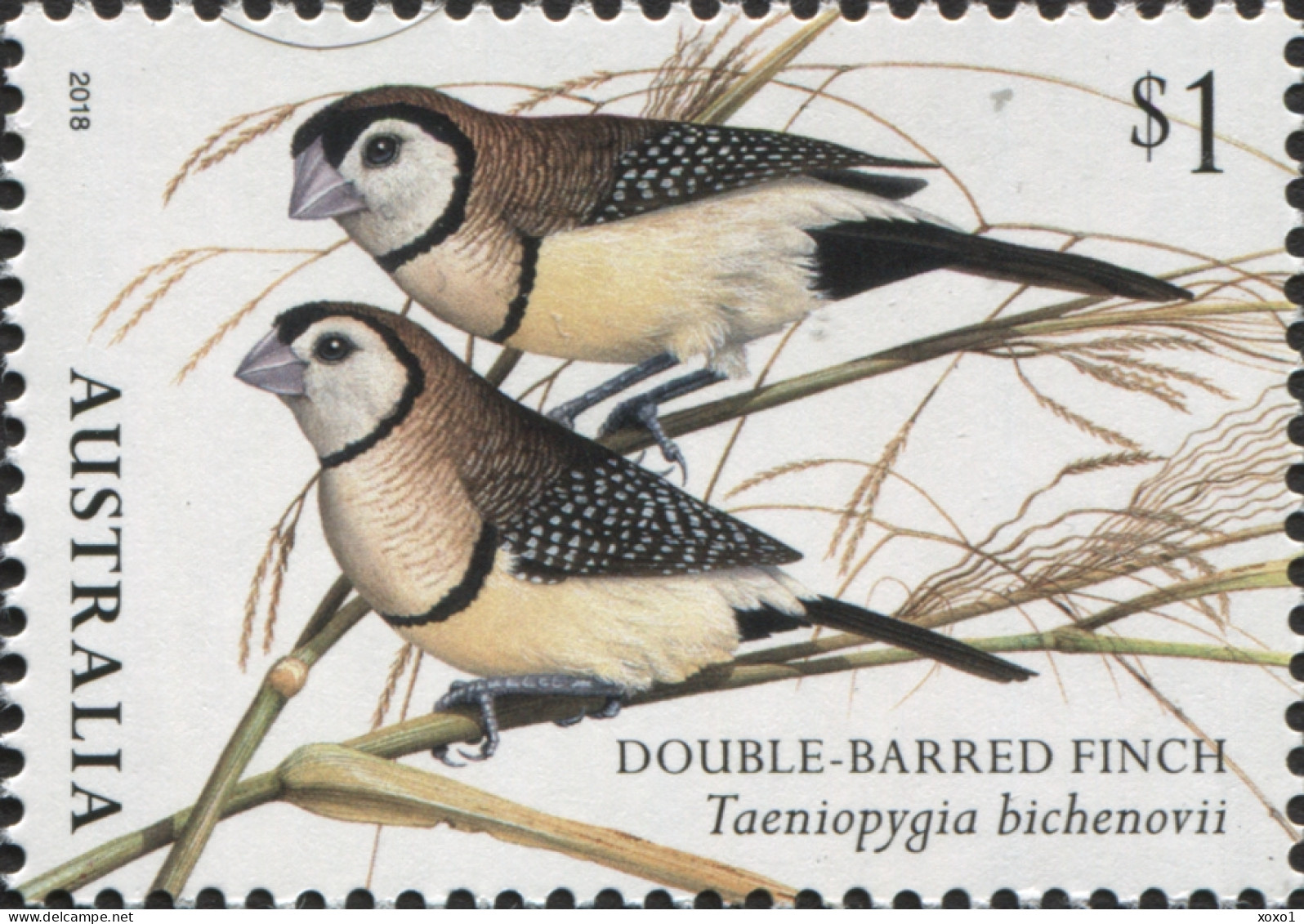 AUSTRALIA 2018 MiNr. 4770 - 73 (Block 480) Australien Birds Oiseaux Finches CANBERRA STAMPSHOW 4v +s\sh MNH** 16,00 € - Mint Stamps