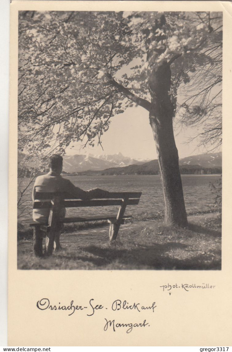 D2501) OSSIACHER SEE - Blick Auf MANGART - Phot. KNOLLMÜLLER -  Alt 1 - Ossiachersee-Orte