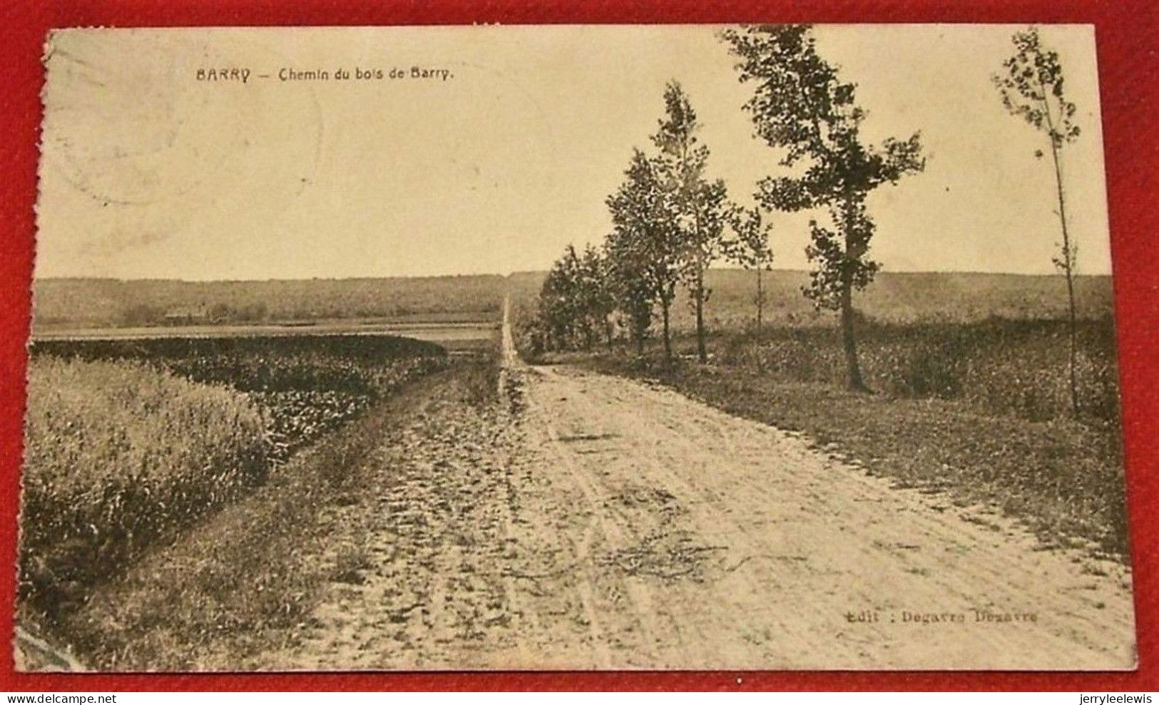 BARRY  (Tournai)  -  Chemin Du Bois De Barry      - 1925  - - Tournai