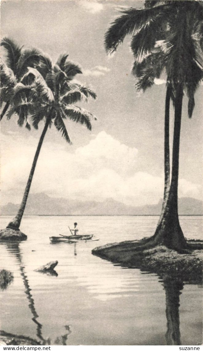 TONGA - L'île Des Amis - 1954 - Tonga