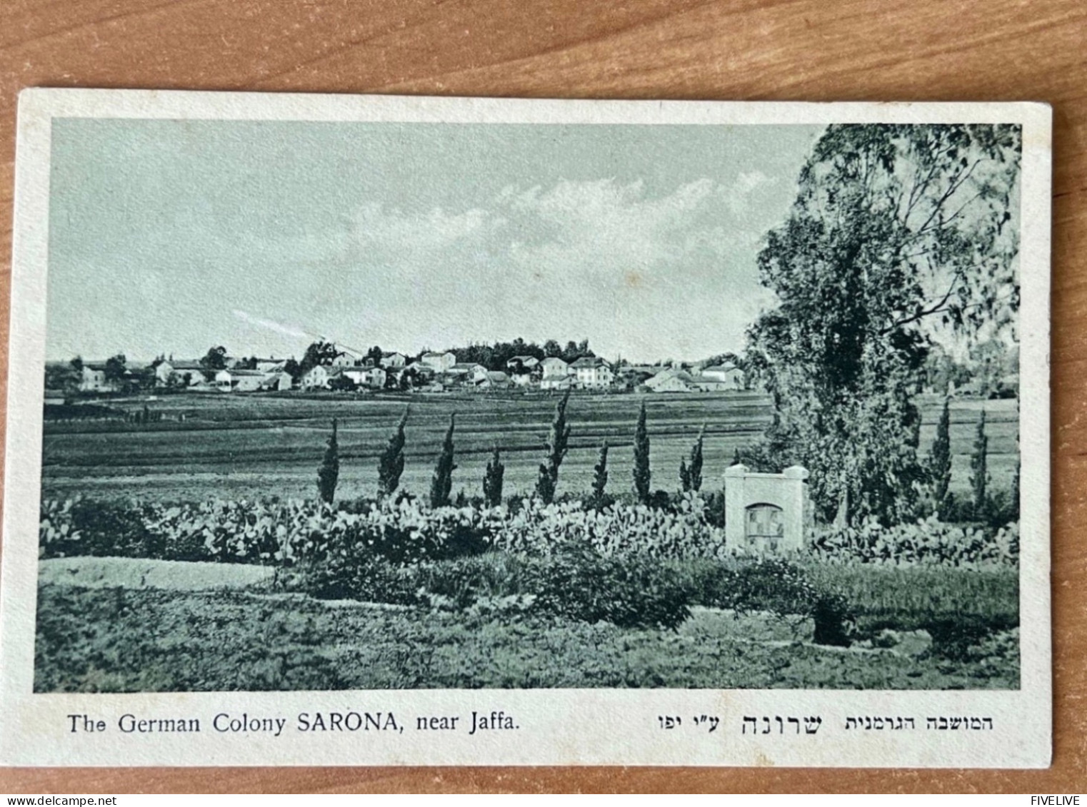 RARE JUDAICA POSTCARD POSTKARTE BY ELIAHU BROS NO. 144 TEL AVIV, THE GERMAN COLONY SARONA, NEAR JAFFA. PALESTINE, ISRAEL - Palestine