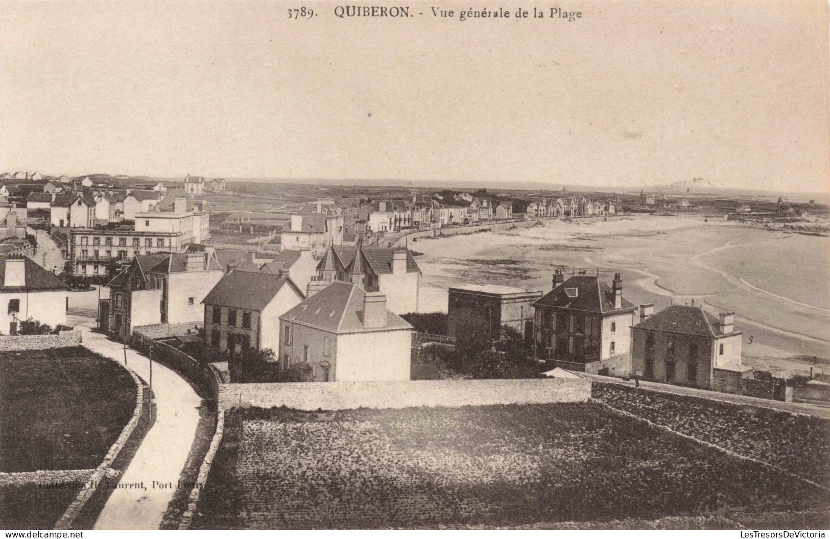 FRANCE - Quiberon - Vue Générale De La Plage  - Carte Postale Ancienne - Quiberon