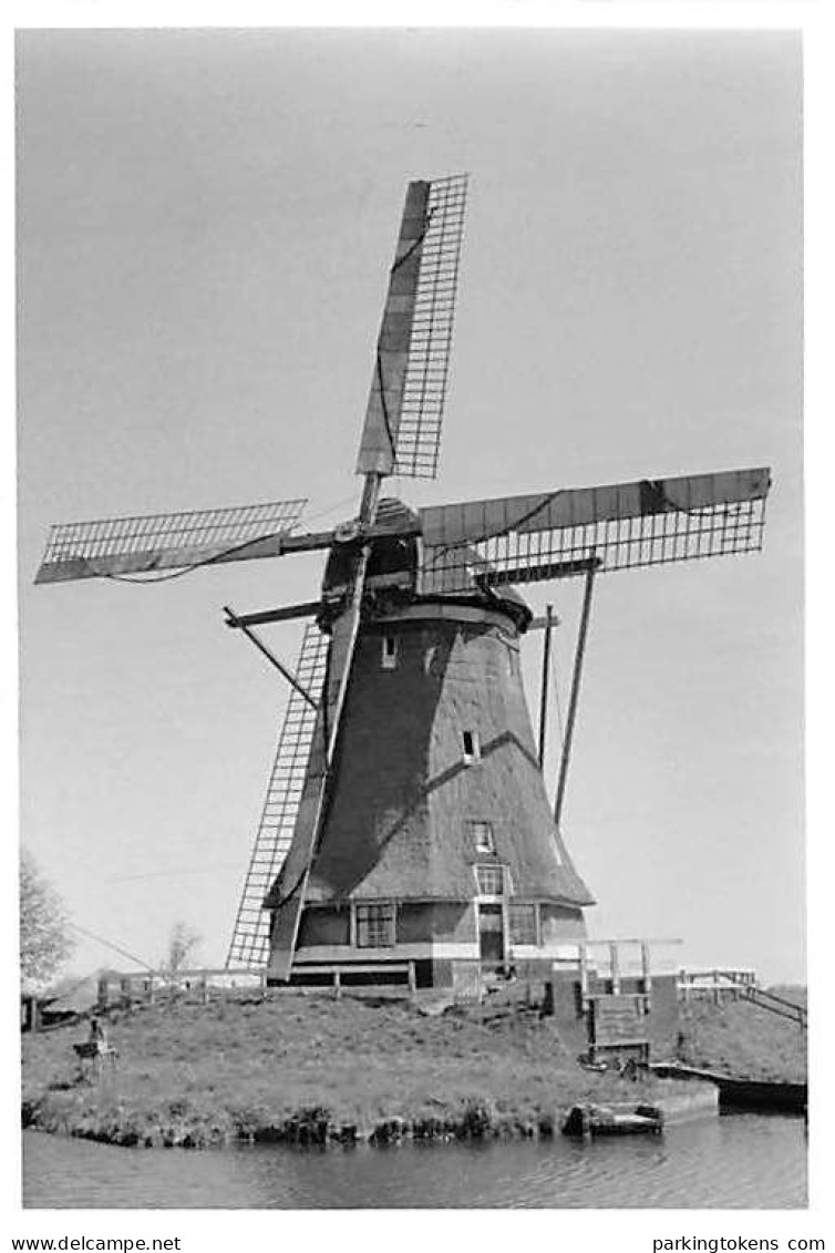 E644 - Alphen A/d Rijn - Foto Ong 13x9.5cm - Molen - Moulin - Mill - Mühle - Alphen A/d Rijn