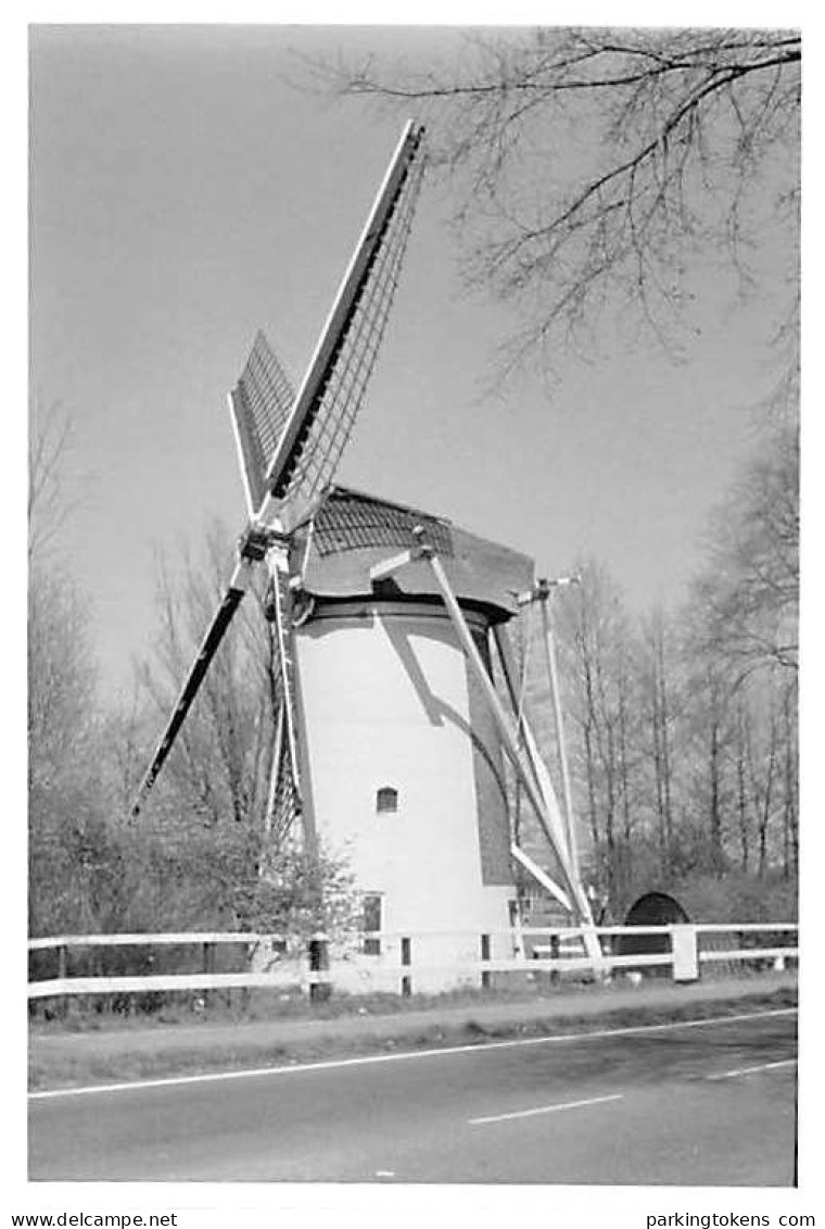 E648 - Leiden - Foto Ong 13x9.5cm - Molen - Moulin - Mill - Mühle - Leiden