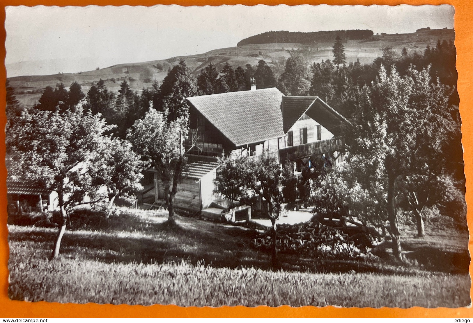 RIGGISBERG - FERIENHIEM WALDRUH HOHLENWEG B. RIGGISBERG 1960 - Riggisberg 