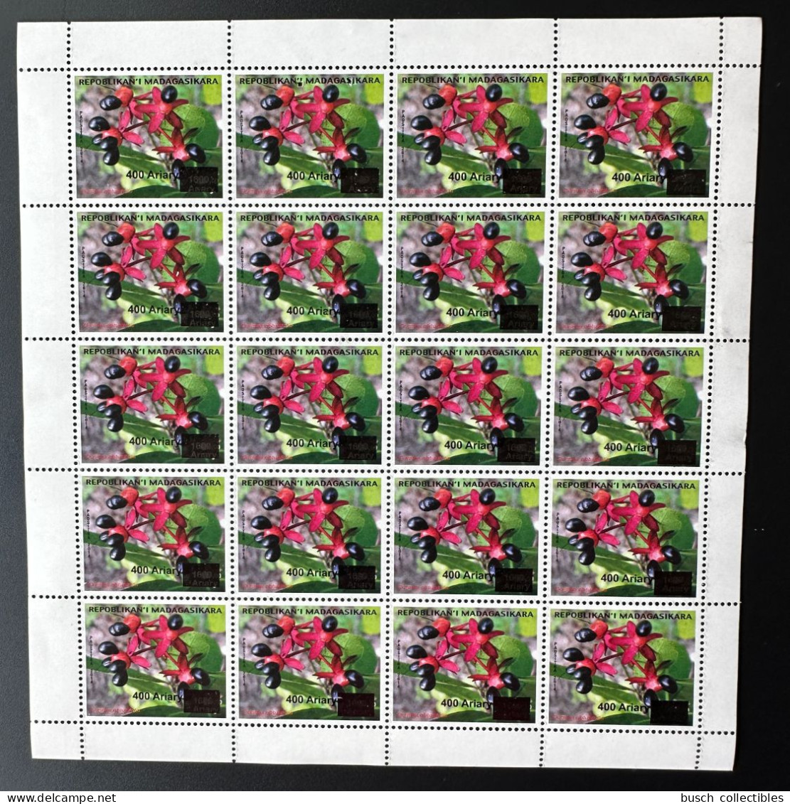 Madagascar Madagaskar 2023 Sheet Fleur Flower Blüte Ouratea Flore Flora Overprinted Surchargé Aufdruck Overprint MNH ** - Madagascar (1960-...)