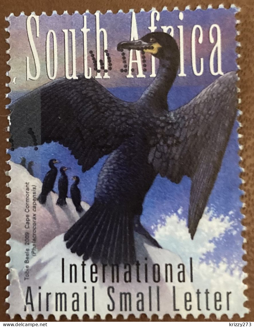 South Africa 2009 Airmail - Sea And Costal Birds Of South Africa 5.40 - Used - Gebruikt