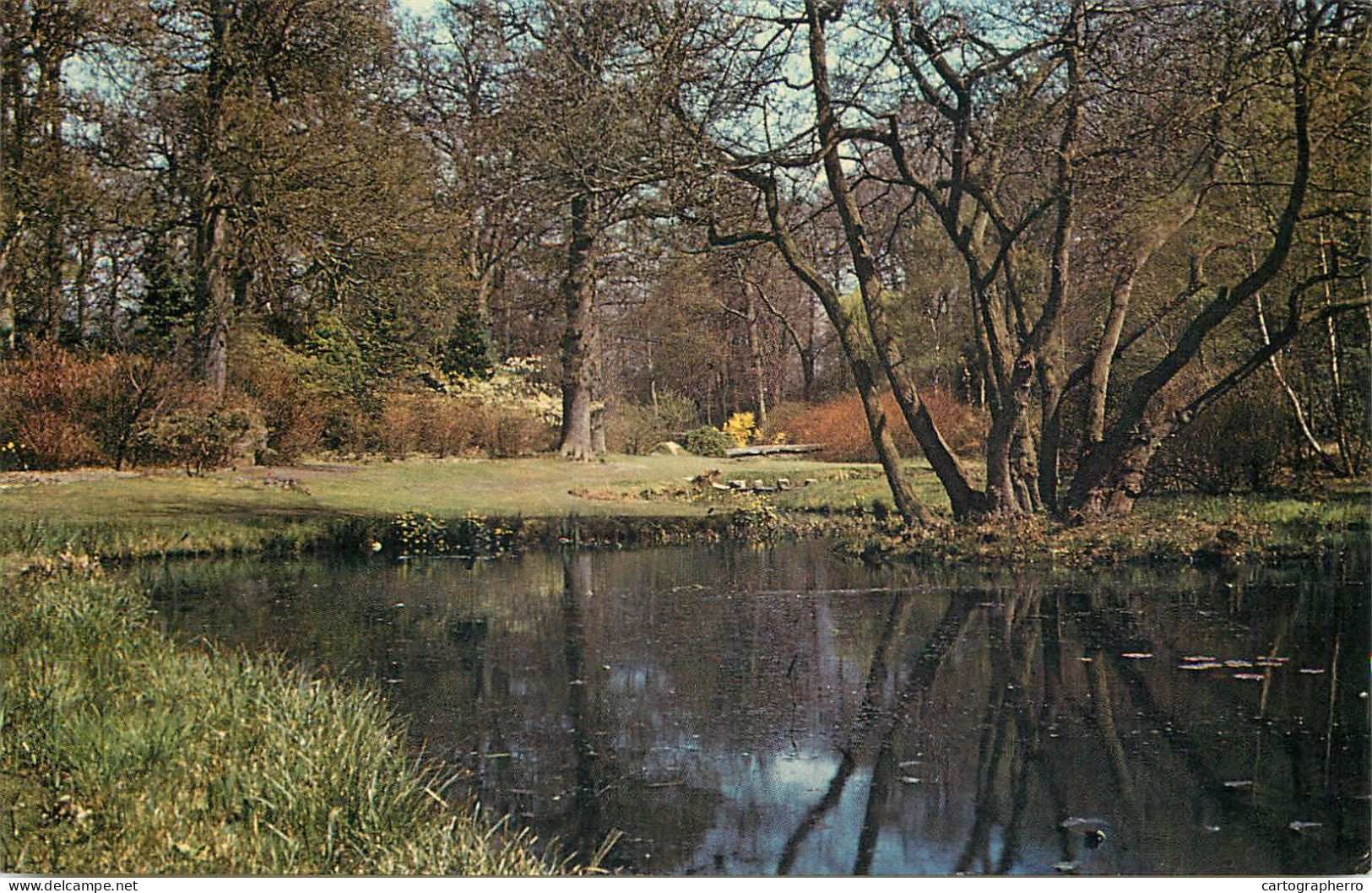 England Windsor Great Park Savill Garden Lower Pond Springtime - Windsor