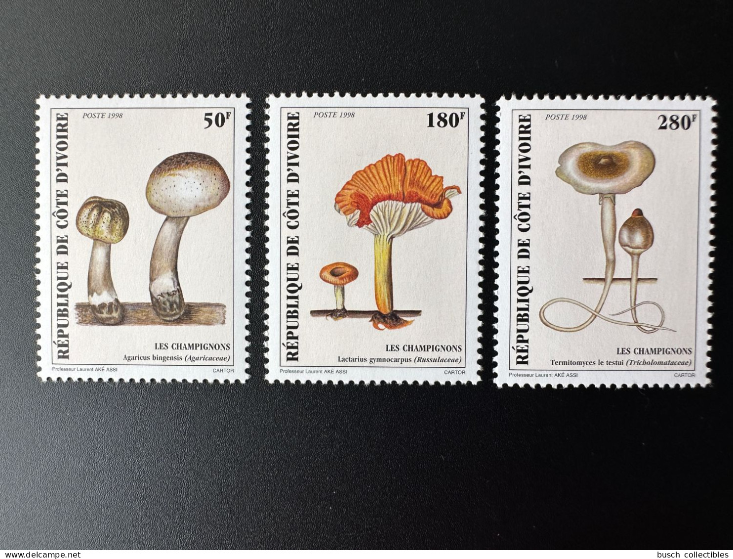 Côte D'Ivoire Ivory Coast 1998 Mi. 1193 - 1195 Mushrooms Champignons Pilze Funghi - Pilze