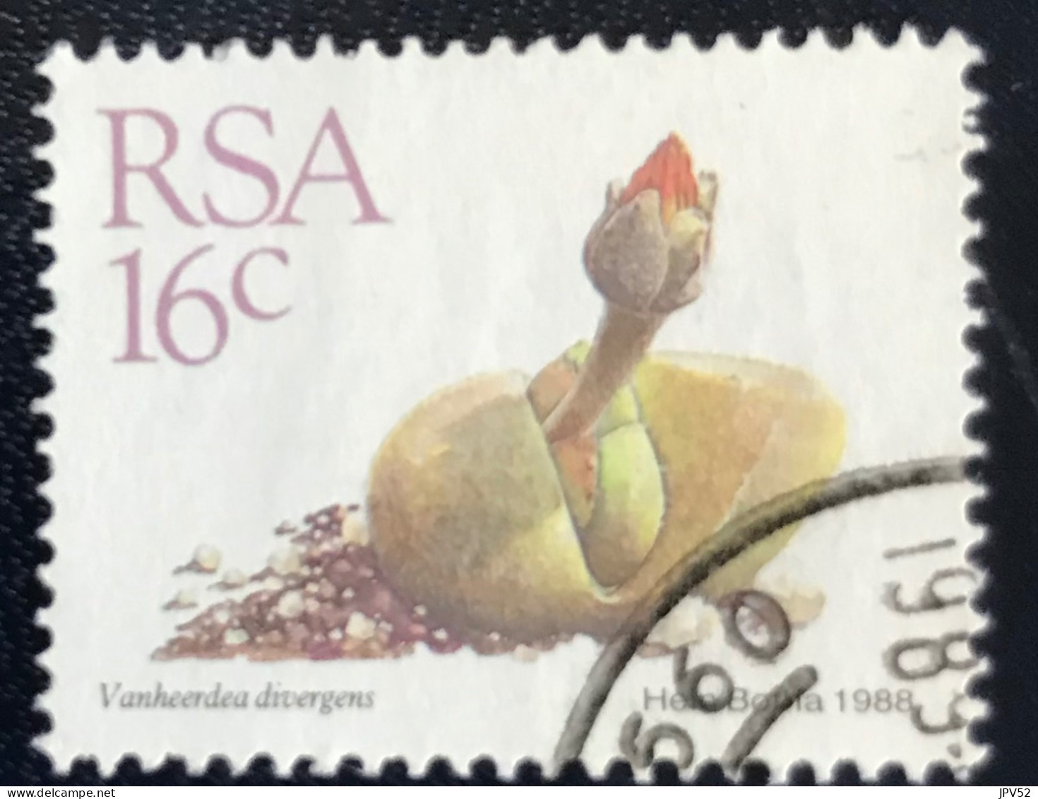 RSA - South Africa - Suid-Afrika  - C18/6 - 1988 - (°)used - Michel 748 - Vetplanten - Used Stamps