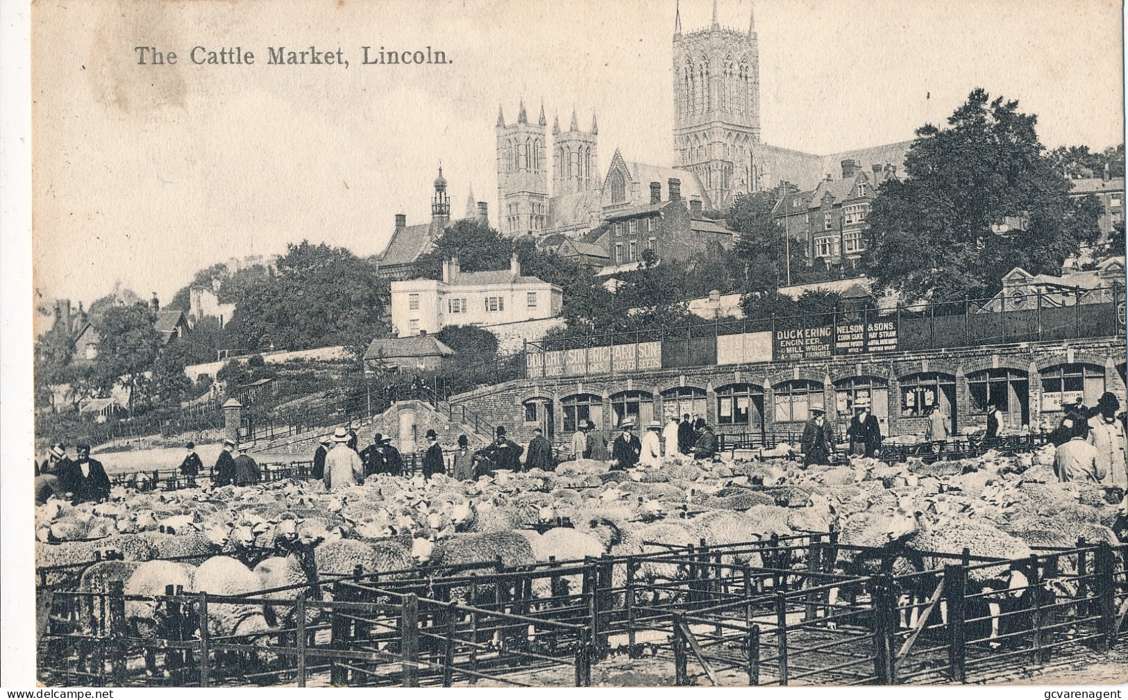 LINCOLN  THE CATTLE MARKET           2 SCANS - Lincoln