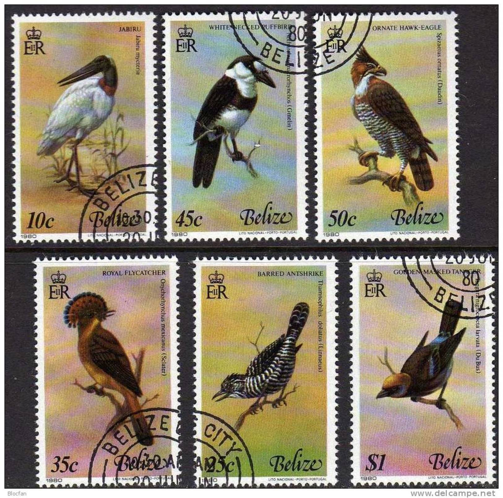 WWF Tropische Vögel 1980 Belize 493/8 O 10€ Jabiru Meise Tyrann Faulvogel Adler Tungare Hoja Fauna Birds Set Bf Honduras - Usados