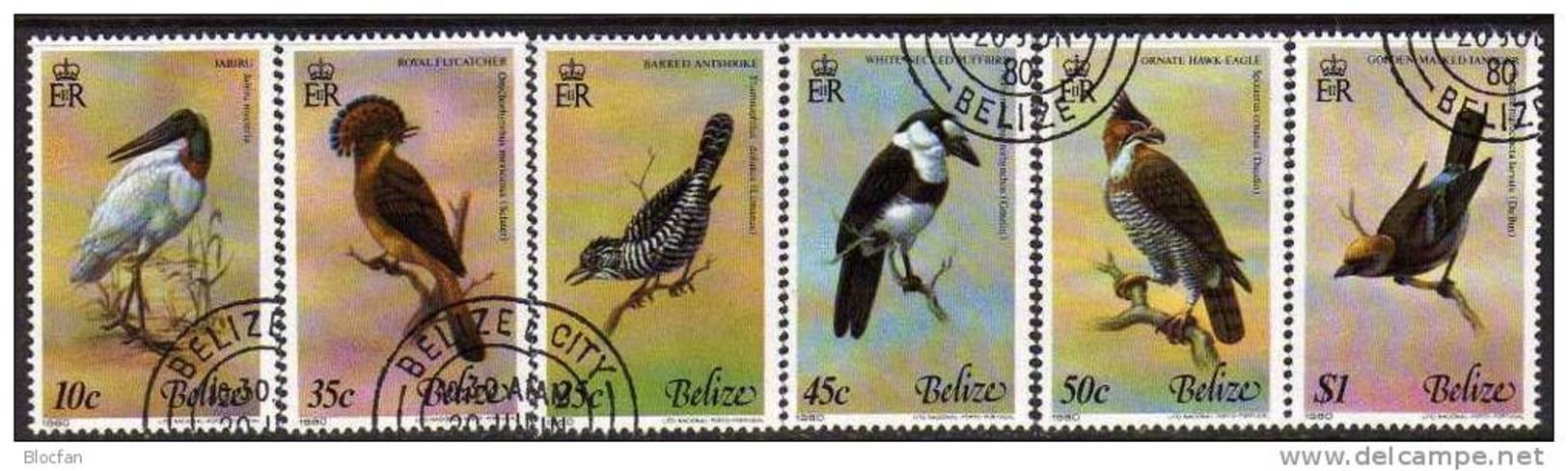 WWF Tropische Vögel 1980 Belize 493/8 O 10€ Jabiru Meise Tyrann Faulvogel Adler Tungare Hoja Fauna Birds Set Bf Honduras - Usati