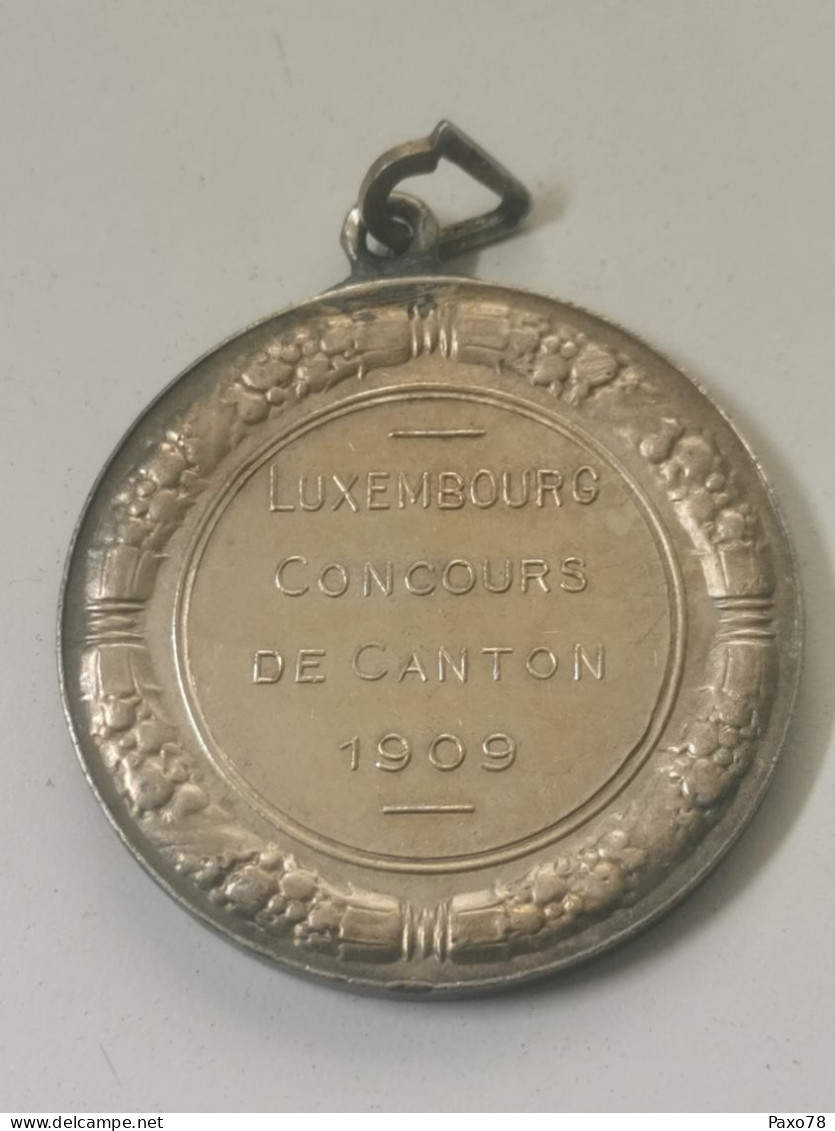 Belgique Médaille, Taureaux, Luxembourg Concours Canton 1909 - Autres & Non Classés