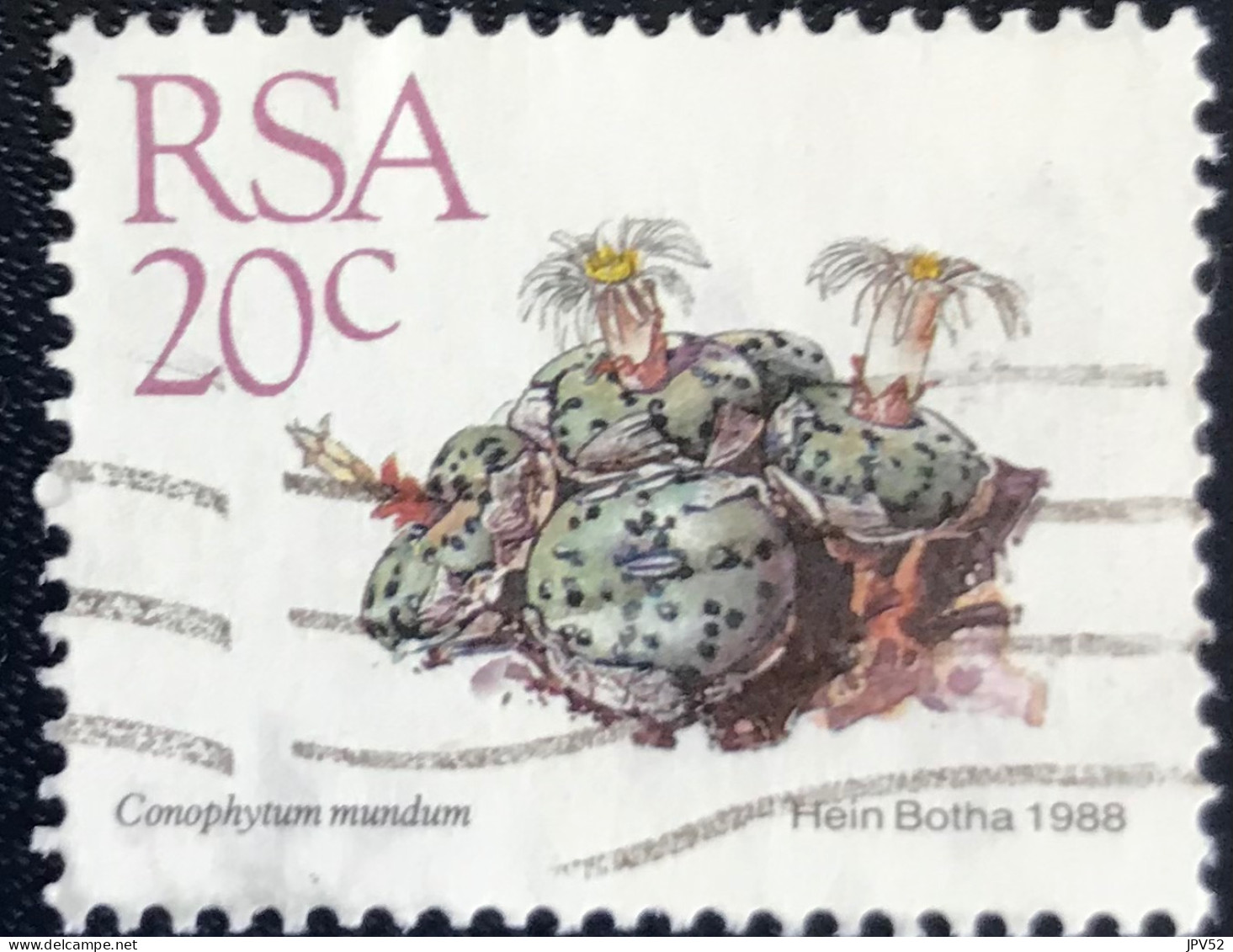 RSA - South Africa - Suid-Afrika  - C18/6 - 1988 - (°)used - Michel 749 - Vetplanten - Used Stamps