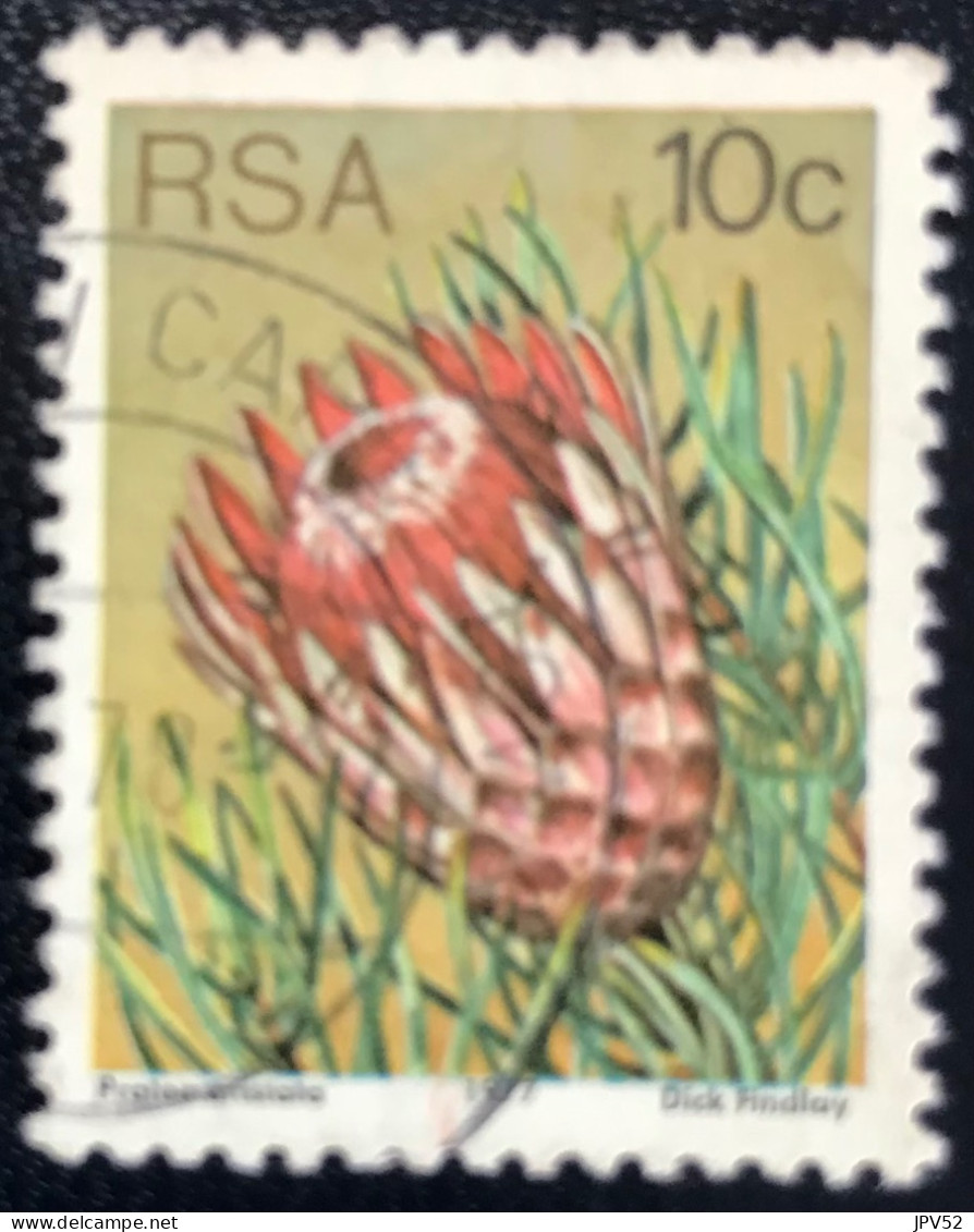 RSA - South Africa - Suid-Afrika  - C18/6 - 1977 - (°)used - Michel 521 - Protea - Used Stamps