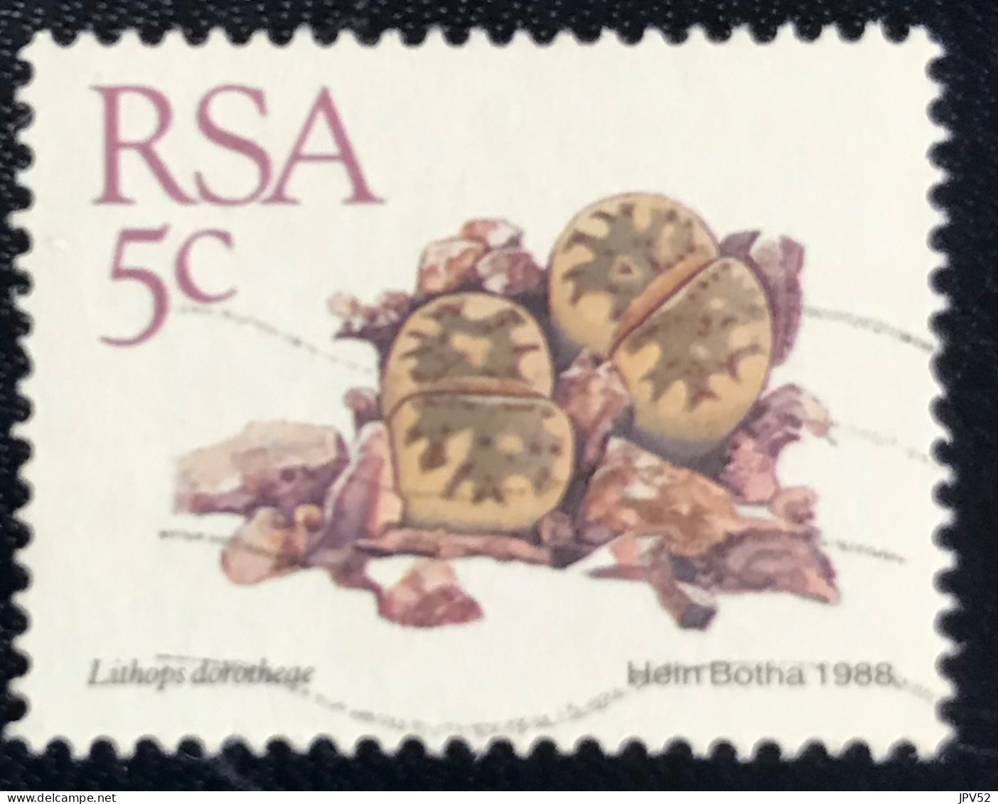 RSA - South Africa - Suid-Afrika  - C18/6 - 1988 - (°)used - Michel 745 - Vetplanten - Gebraucht